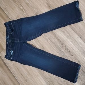 American Eagle Stretch Straight jeans size 14S